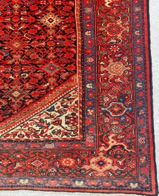 Melayer Carpet Size: 210x400 cm                            