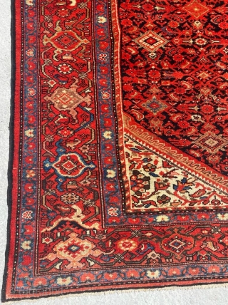 Melayer Carpet Size: 210x400 cm                            