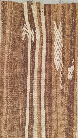 Size : 115x 275 cm,
Central anatolia,Konya.
Natural camel wool.                         