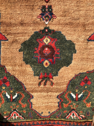 This is a very good, lush, old Kurdish rug of the 19th century. It has full pile throughout with a beautiful natural camel hair field. Great colors including very interesting shades of  ...