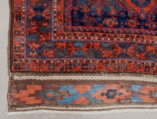 Baluch Timuri 313(359)x217cm                              