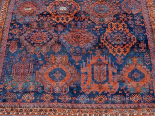 Baluch Timuri 313(359)x217cm                              