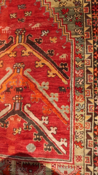 From Sonny Berntssons collection:
No 156 Tokat Samsun Ladik prayer rug. Before 1900. 110 x 175 cm
Probably woven by an Armenian woman because there are a lot of animals (sheep) and birds in  ...