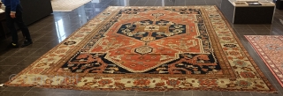 Antique Serapi Bakshaish oversize

580x410cm


Very good condition
Three repairs spot.



                         