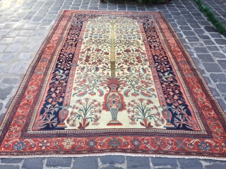 Unique saroukh rare size 315x208 cm with unusual design has some low pile circa 1900                  