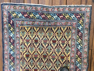 Antique Caucasian Shirvan or Dagestan rug circa 1890 - 1910. Bright lemon-yellow field and borders with an overall lattice design All natural saturated colors with  red, light blues and green. Unusual  ...
