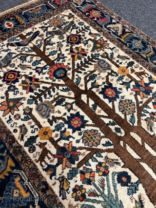 Antique Neiriz tree of life rug from Southpersia. Such a finely drawn design is very unusual for a tribal rug. Size: 156x123cm / 5'2''ft x 4'1''ft, good condition. Great collector´s item, http://www.najib.de 
