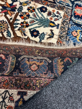 Antique Neiriz tree of life rug from Southpersia. Such a finely drawn design is very unusual for a tribal rug. Size: 156x123cm / 5'2''ft x 4'1''ft, good condition. Great collector´s item, http://www.najib.de 