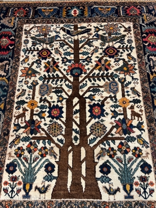 Antique Neiriz tree of life rug from Southpersia. Such a finely drawn design is very unusual for a tribal rug. Size: 156x123cm / 5'2''ft x 4'1''ft, good condition. Great collector´s item, http://www.najib.de 