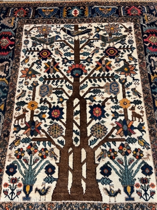 Antique Neiriz tree of life rug from Southpersia. Such a finely drawn design is very unusual for a tribal rug. Size: 156x123cm / 5'2''ft x 4'1''ft, good condition. Great collector´s item, http://www.najib.de 