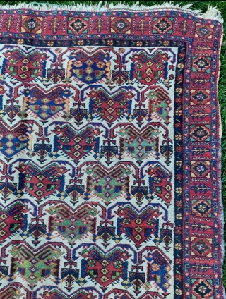 20th Century Persian Avshar Rug size: 141 x 195 cm                       