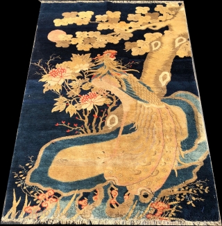 +Very nice Very nice Pao-Tao with nice color and interesting roaring Rooster, Most of the rug has good pile just some wear at the bottom        