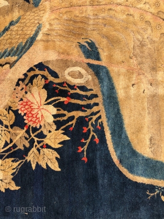 +Very nice Very nice Pao-Tao with nice color and interesting roaring Rooster, Most of the rug has good pile just some wear at the bottom        