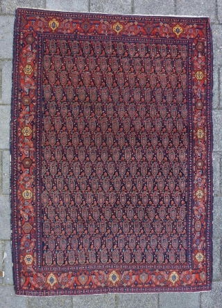 Antique fine Senneh, 192 x 140 cm., 6' 3" x 4' 7". All natural dyes, no repairs.                