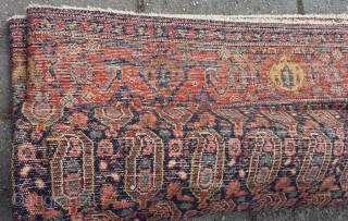 Antique fine Senneh, 192 x 140 cm., 6' 3" x 4' 7". All natural dyes, no repairs.                