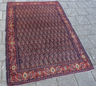 Antique fine Senneh, 192 x 140 cm., 6' 3" x 4' 7". All natural dyes, no repairs.                