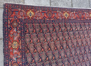 Antique fine Senneh, 192 x 140 cm., 6' 3" x 4' 7". All natural dyes, no repairs.                