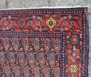 Antique fine Senneh, 192 x 140 cm., 6' 3" x 4' 7". All natural dyes, no repairs.                