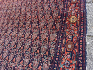 Antique fine Senneh, 192 x 140 cm., 6' 3" x 4' 7". All natural dyes, no repairs.                