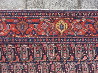 Antique fine Senneh, 192 x 140 cm., 6' 3" x 4' 7". All natural dyes, no repairs.                
