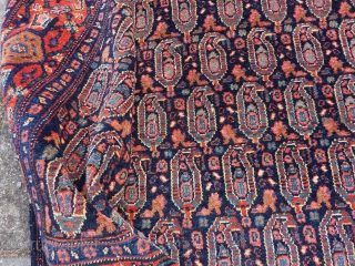 Antique fine Senneh, 192 x 140 cm., 6' 3" x 4' 7". All natural dyes, no repairs.                