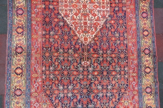 Antique Persian Bidikabat Gallerie Carpet wonderful colors and very nice condition all original size 5,10x2,10 cm ( 83 x 200 inches )  Circa 1900        