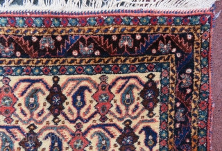 Avshar rug wonderful colors and excellent condition all original size 1,57x1,17 cm Circa 1900                   