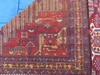 Antique Shiraz Hamadany wonderful colors and very nice condition all original size 3,28x2,20 cm Circa 1890                 