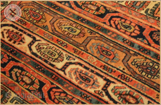 RG1193- 
Antique Shahzavan long rug circa 1890 wool on wool foundation
Very good condition
Size : 2.55m x 1.00m  8`4" x 3`3"            