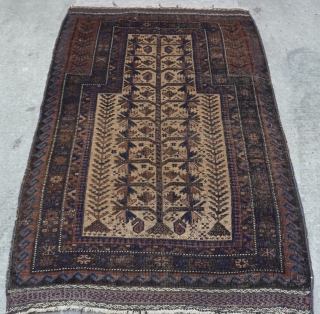 Baluch Prayer tree of life 19th century Rug, size 2'10" x 4'4" (86 x 132 cm.)                 