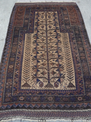 Baluch Prayer tree of life 19th century Rug, size 2'10" x 4'4" (86 x 132 cm.)                 