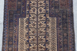 Baluch Prayer tree of life 19th century Rug, size 2'10" x 4'4" (86 x 132 cm.)                 