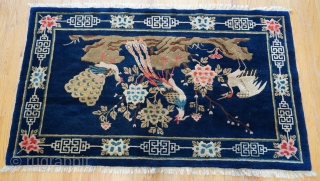 Tibetan Phoenix Peacock Birds Antique Oriental Rug, size is 3'3" x 5'9" ft. shiny wool and wonderful colors.               
