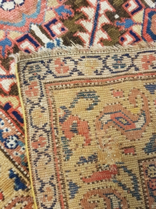Rare Sauj Bulag North West Persia Azerbaijan - Second half 19th century
262 x 120 cm

E-mail: timeless.rugz@gmail.com                 