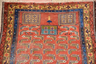 Kurdish rug 19th century
226 x 123 cm                          