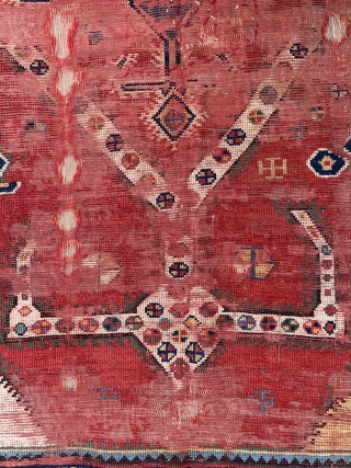 Qhasgia gabbeh carpet size 260x145cm
                            