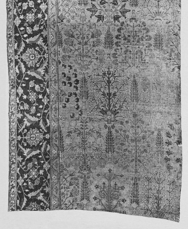 Safavid Carpet fragment