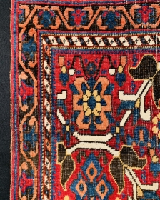 Persian | rugrabbit.com