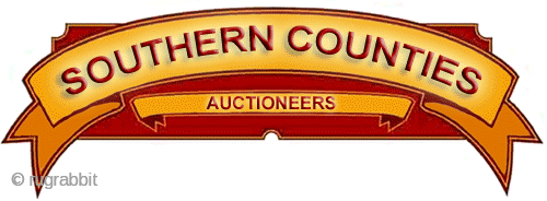 Netherhampton Salerooms Auction (Carpets)