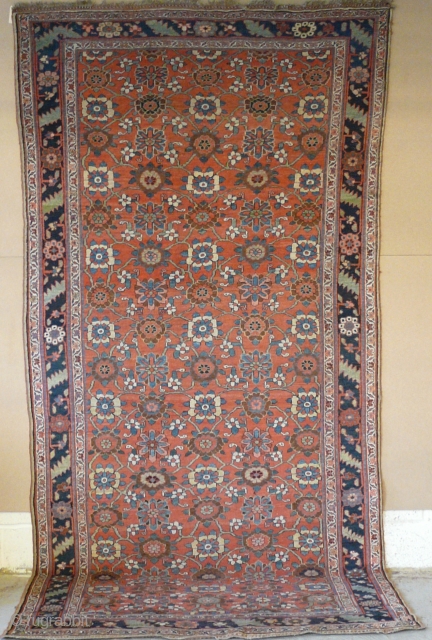 Mina Khani Design Bidjar kellei, 19th century, 3.56m x 1.70m, 11'9" x 5'6". Very good colour, especially the terracotta background, yellows, light blues and abrashed green. Crisply drawn and well-spaced design. Woollen  ...