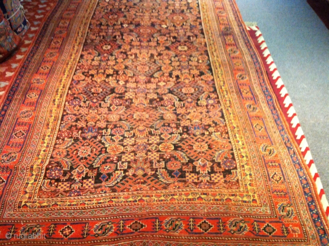 circa 1880  Persian Bijar   Even wear.  6'5"x 11'6" no dry rot, no pet stain               