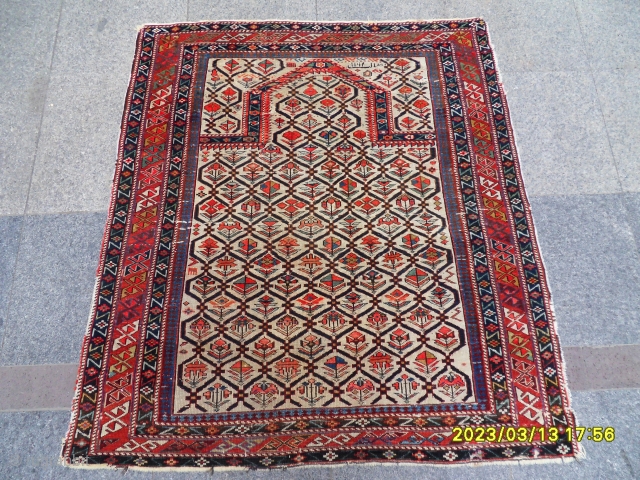 Antıque Şirvan Maraşali Prayer Carpet size: 127x115 cm.                         