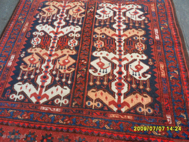 Antique Turkmen Beshir
Size: 97 x 97 cm.
Mail: makifhali@yahoo.com                         