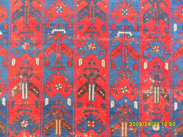 Antique Shirvan Rug
Size: 280 x 175 cm.
Mail: makifhali@yahoo.com                         