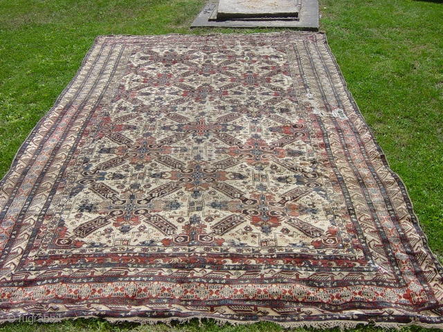 very huge  seichur carpet ( dagistan )  size 490x300                      