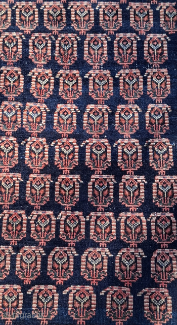 Kurdish rug, probably a masnad (personal rug). Size 143 x 107 cm. Displays stunningly. Gorgeous dyes in the border. Drawing has an Afshari feel, but this is most likely Serabend. Wonderful. Contact  ...