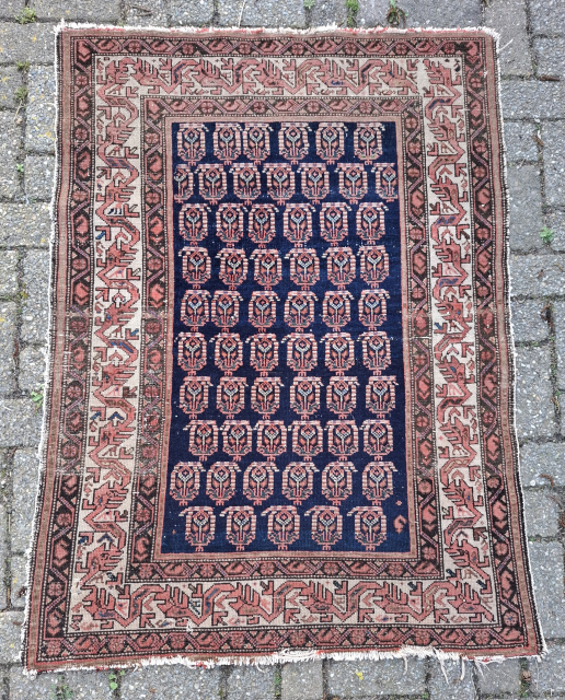 Cool Kurdish rug with dragons and botehs. Size 143 x 108. Probably a personal sitting rug. Contact me at alexanderbakker@flairforflavor.com.