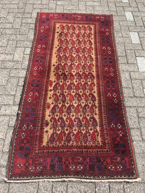 Baluch camel hair rug with boteh pattern, usually reserved for prayer rugs. Full pile, pristine condition. Best natural colors (also the purple), crisp and well proportioned drawing, jewel of a rug. Size  ...