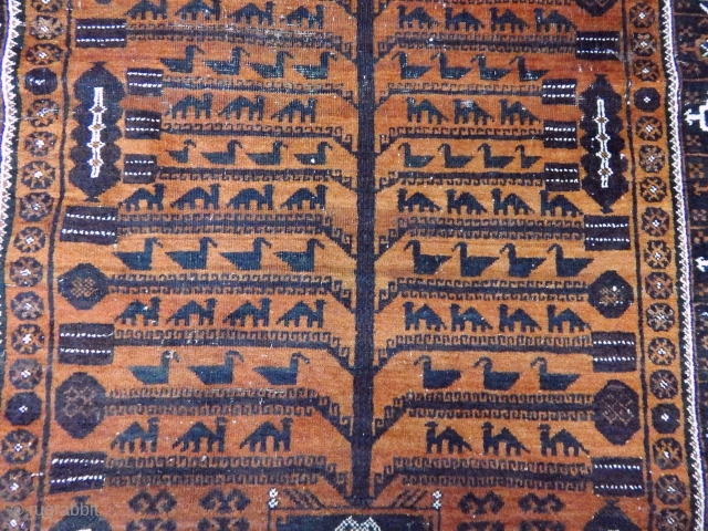 Antique Baluch Rug                              