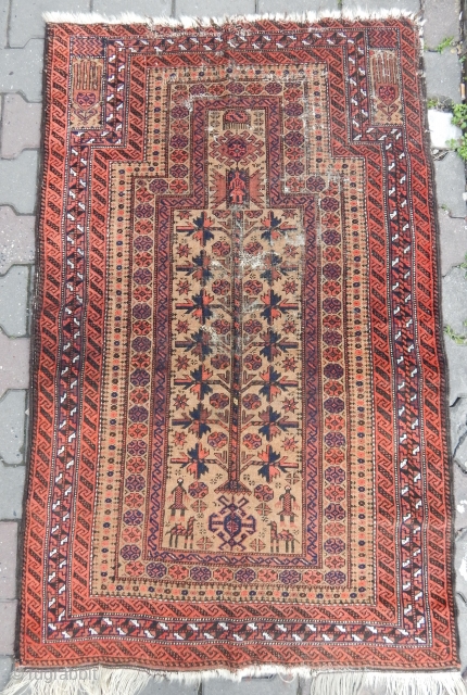 Antique Baluch Prayer Rug  .e-mail. anatolianpicker@gmail.com                          
